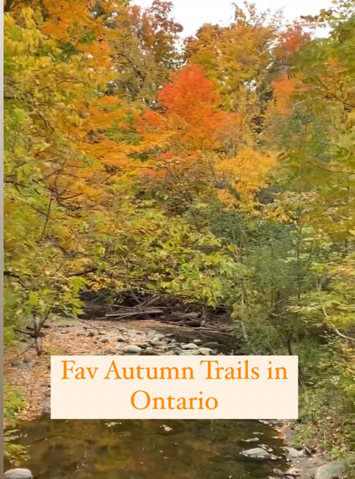 Favourites Fall Hiking Spots